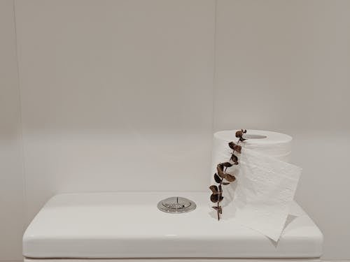 Desentupidora de Vaso Sanitário em Sumaré